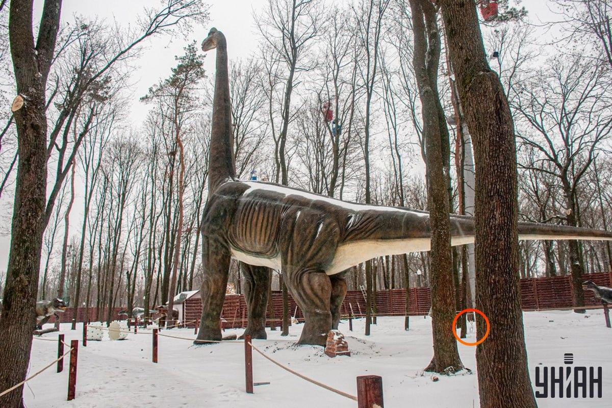 De hond stond linksonder op de foto / Moje collage