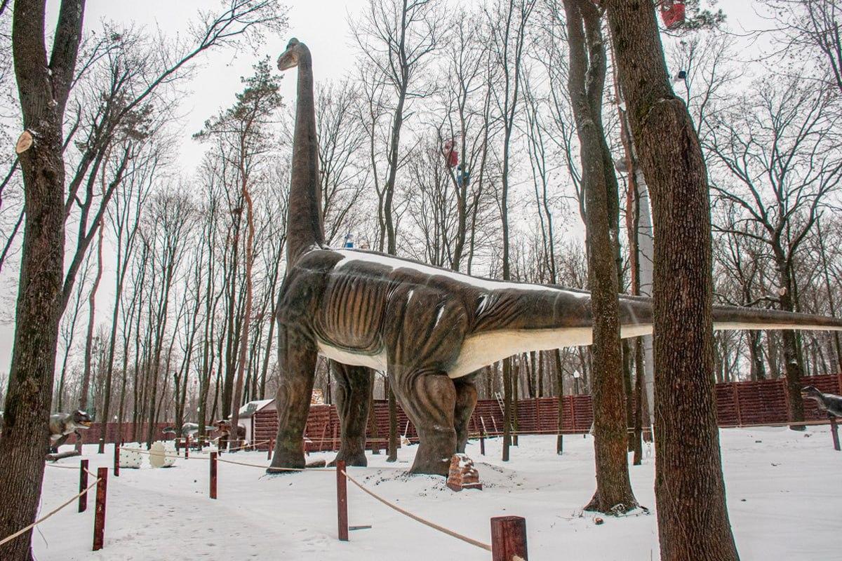 Zoek een hond in de sneeuw in 10 seconden / Moje collage