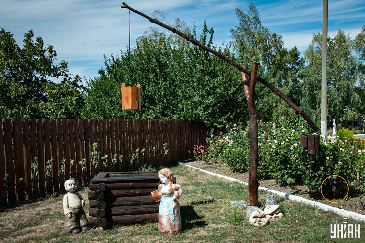 De kat zat in het bloembed / Moje collage