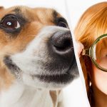 Alleen een echte IQ-titaan ziet een hond in de sneeuw