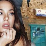 Alleen een genie vindt een hond op straat in 7 seconden: een complexe optische illusie Alleen een genie vindt een hond op straat in 7