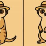 IQ-test: vind 3 verschillen in een foto van een stokstaartje met een hoed in 49 seconden IQ-test: vind 3 verschillen in een foto van een stokstaartje