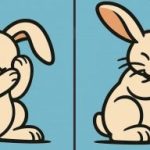 Super IQ-test: vind 3 verschillen in een foto van een